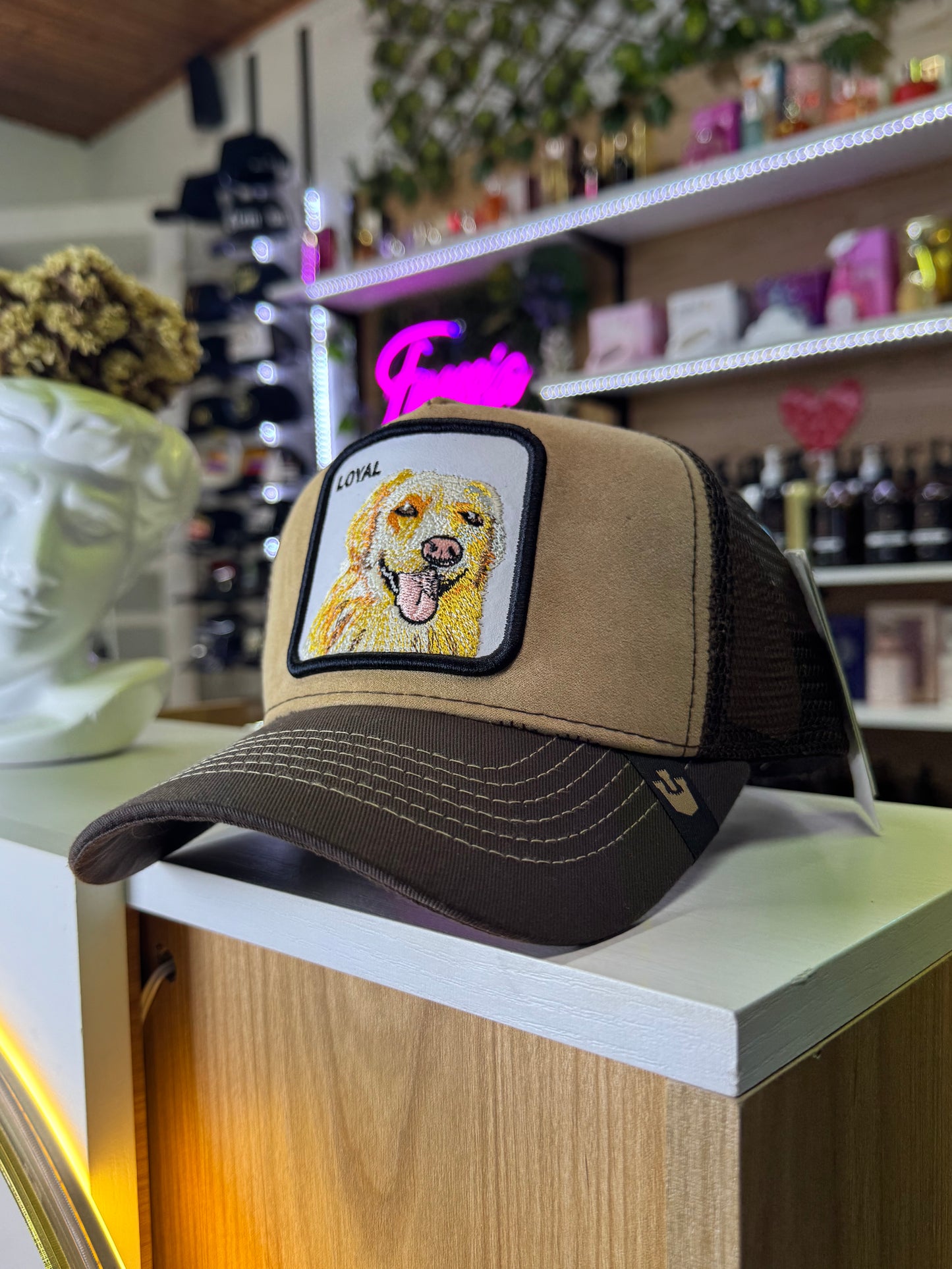 Gorras Multimarcas