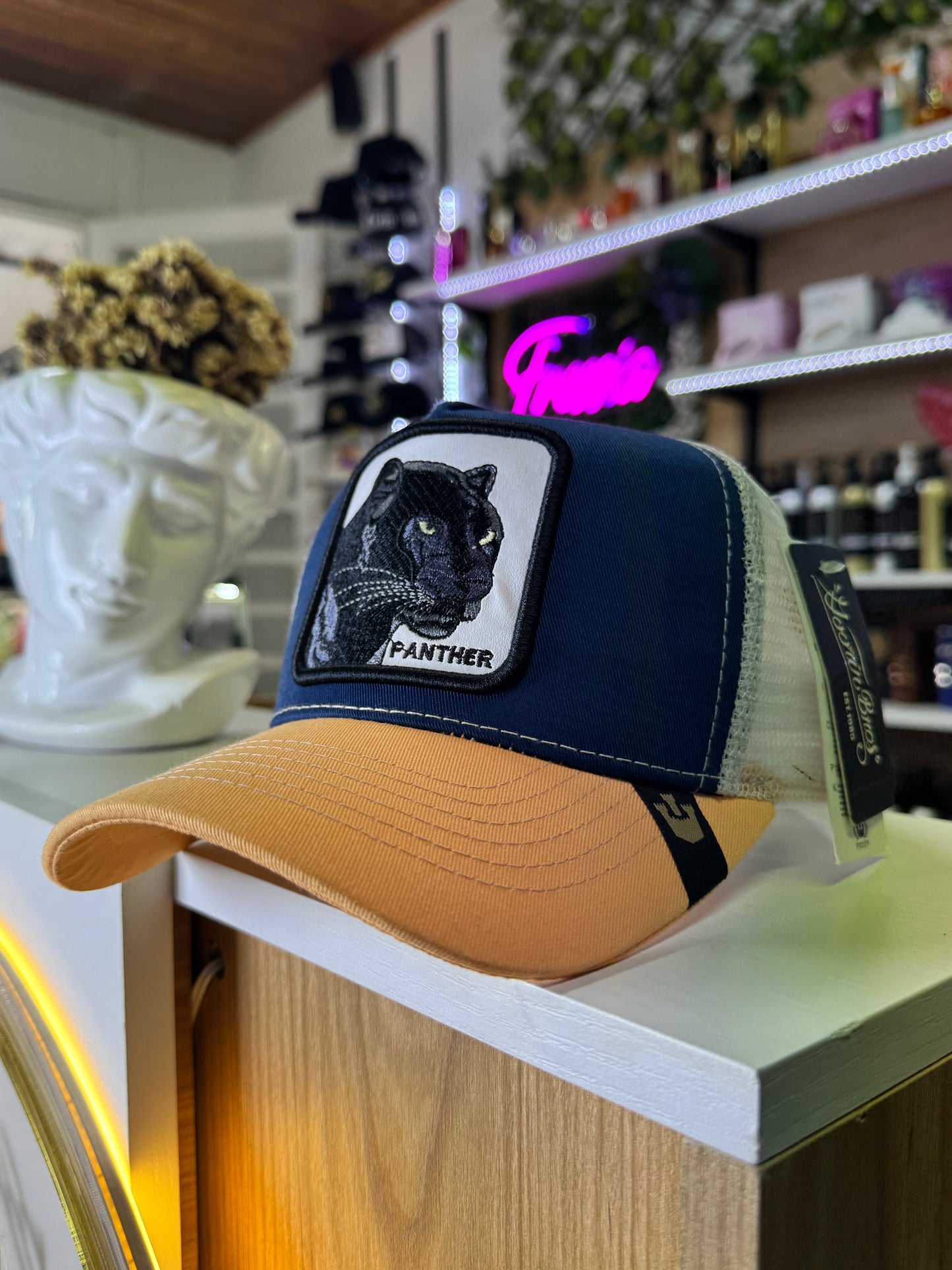 Gorras Multimarcas