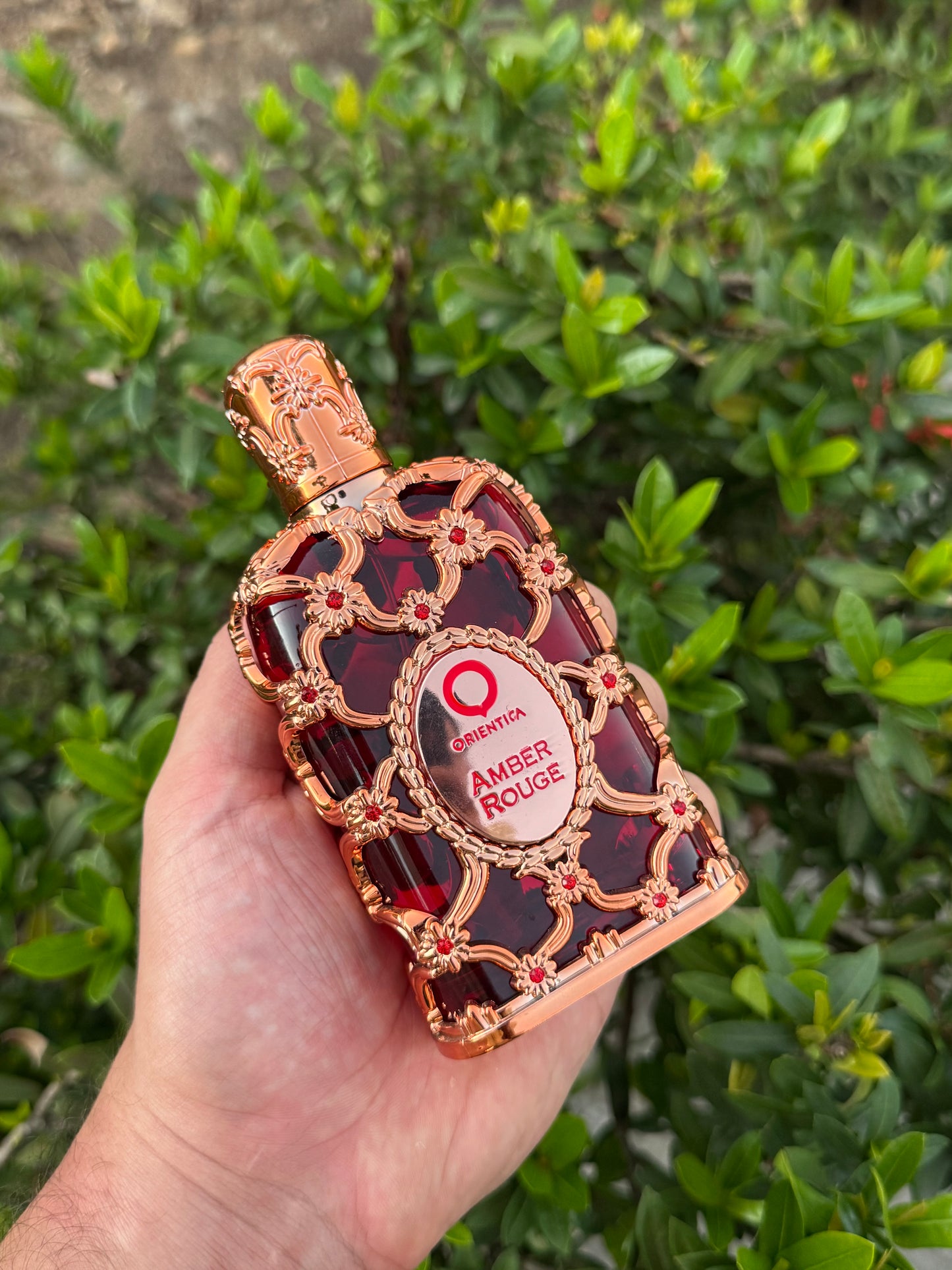 Amber Rouge by Orientica 100ml (Estuche)