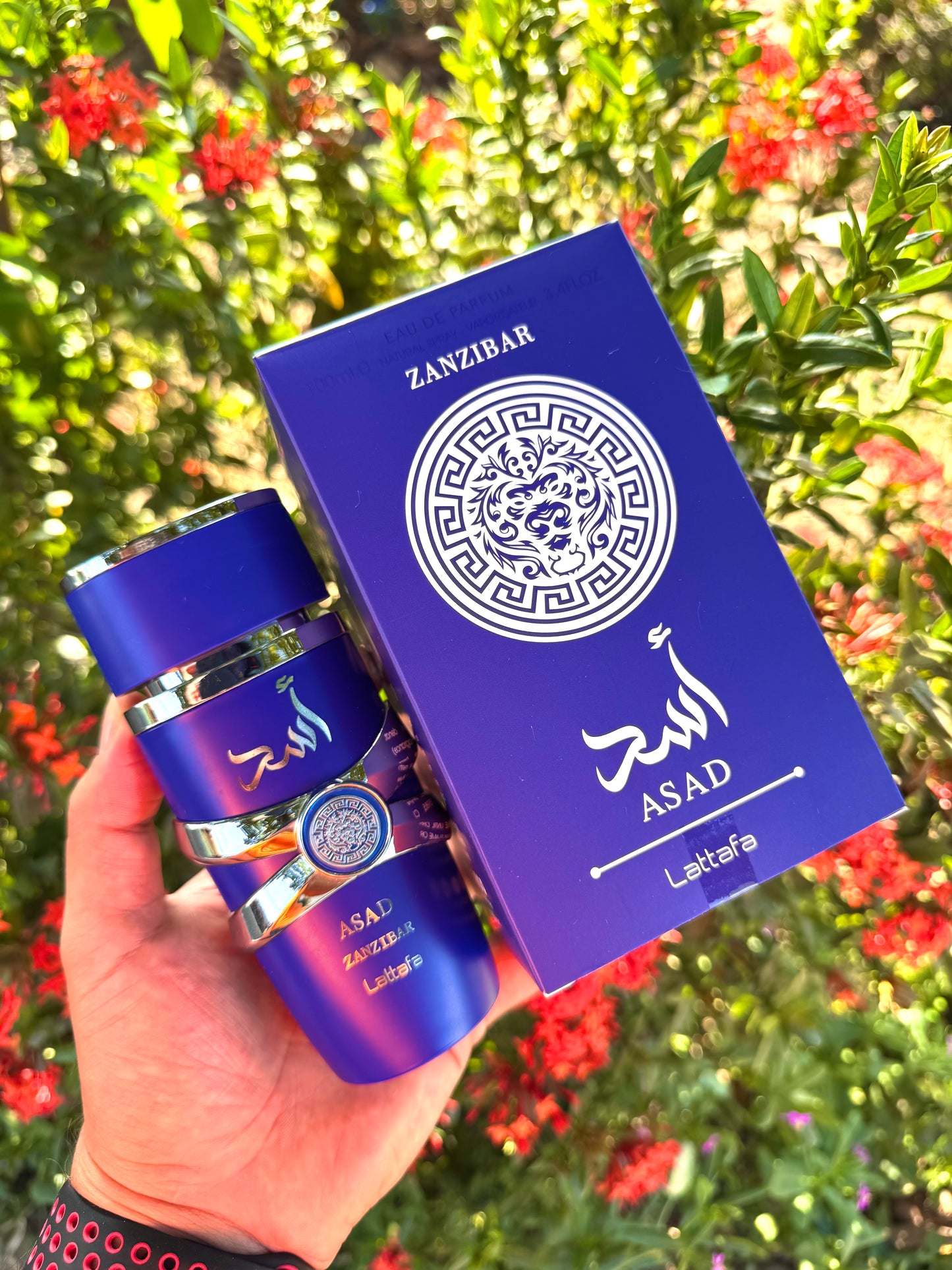 ASAD Zanzibar by Lattafa 100ml