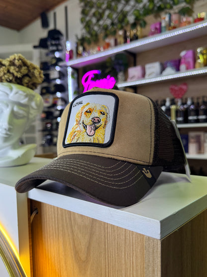 Gorras Multimarcas