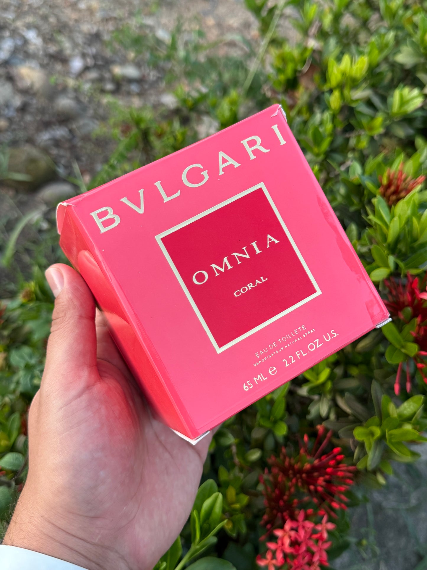 Omnia Coral by Bvlgari 100ml